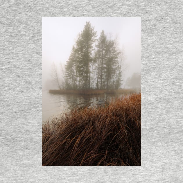 Foggy lake and small island by Juhku